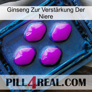 Ginseng Zur Verstärkung Der Niere 04